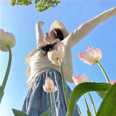 女记者的日记 2025 剧集